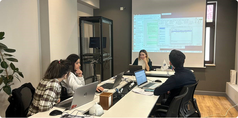 IT Business Analysis &amp; Product Management